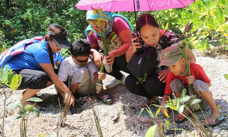 EVERYONE’S PART FOR THE PLANET. Students from the RBI plant mangrove seedlings in the Cleanergy Park in Punta Dumalag, Matina Aplaya with the assistance of their parents and teachers.